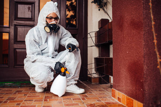 Attic and Crawl Space Rodent Treatment in Horizon City